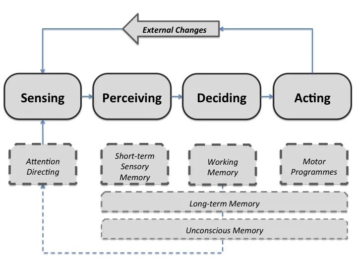 Include process. Information processing. information processes. information processing and control systems. perceiving.