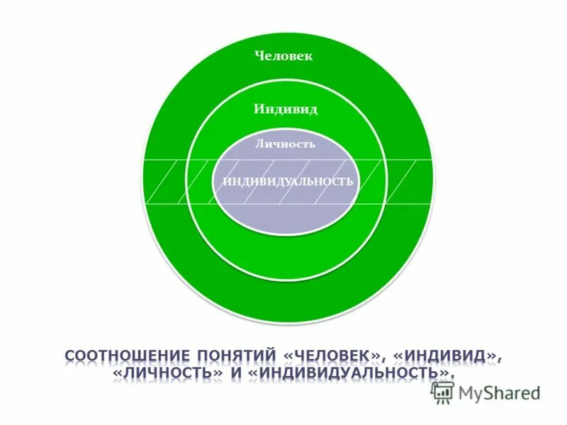 Человек индивид личность индивидуальность. Индивид личность индивидуальность понятия. Соотношение понятий индивид личность индивидуальность. Соотношение личности индивида и индивидуальности.