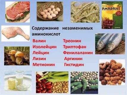 Метионин где содержится