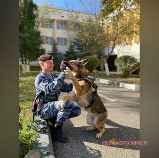 Вне служба