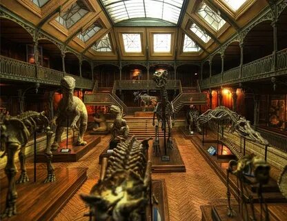 Mystery museum