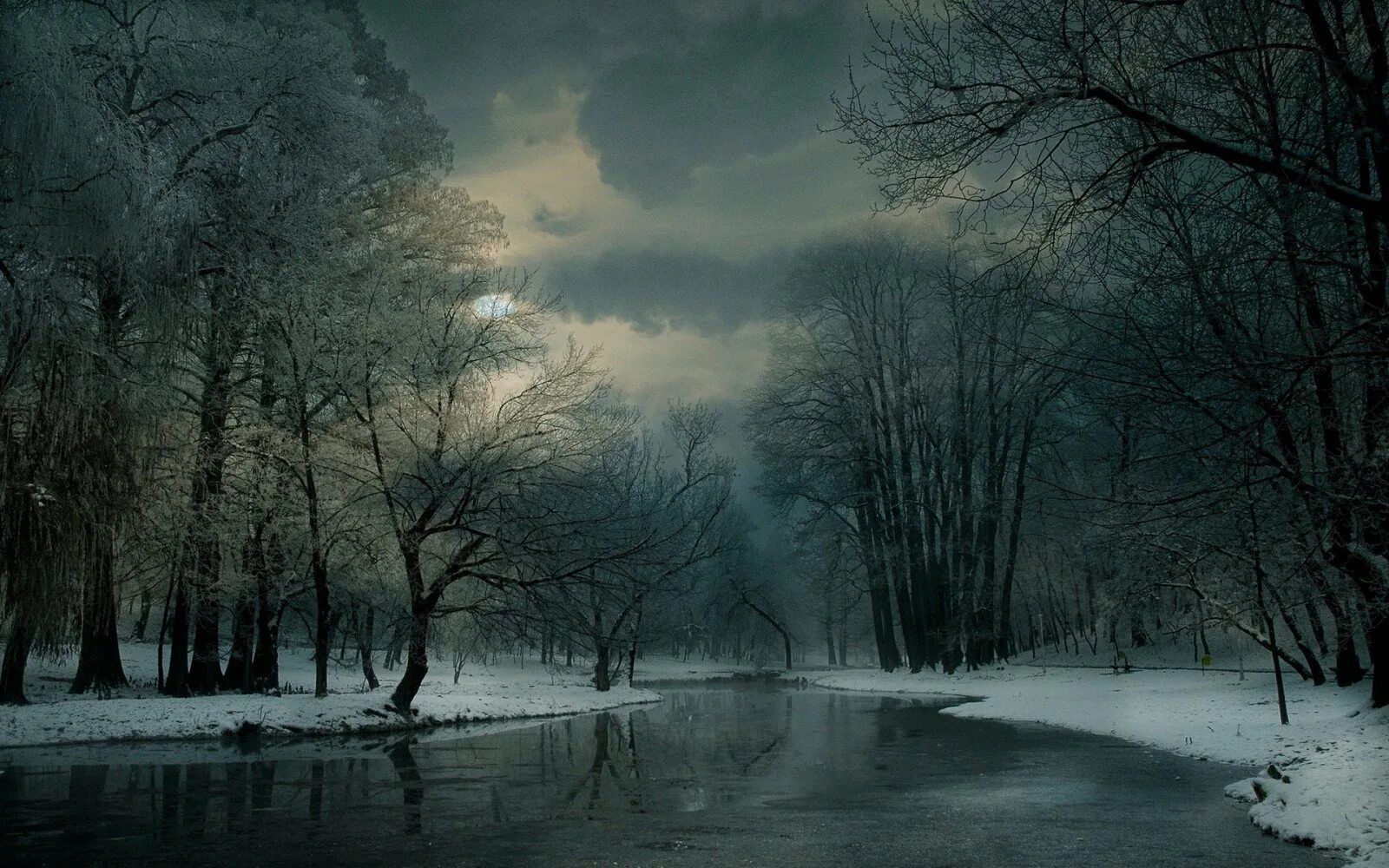Мрачный снег. Мрачный пейзаж. Мрачная зима. Пасмурная зима. Мрачный зимний лес.