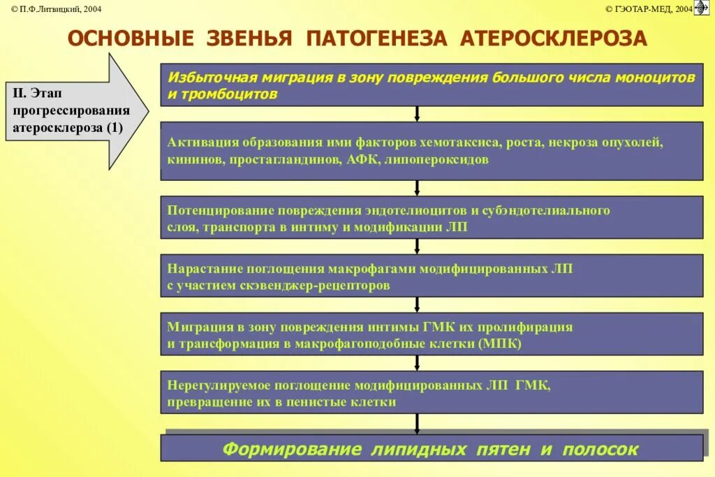 Нарушения липидного обмена атеросклероз. Звенья патогенеза атеросклероза. основные звенья патогенеза атеросклероза. основные этапы патогенеза атеросклероза. патогенез атеросклероза схема.
