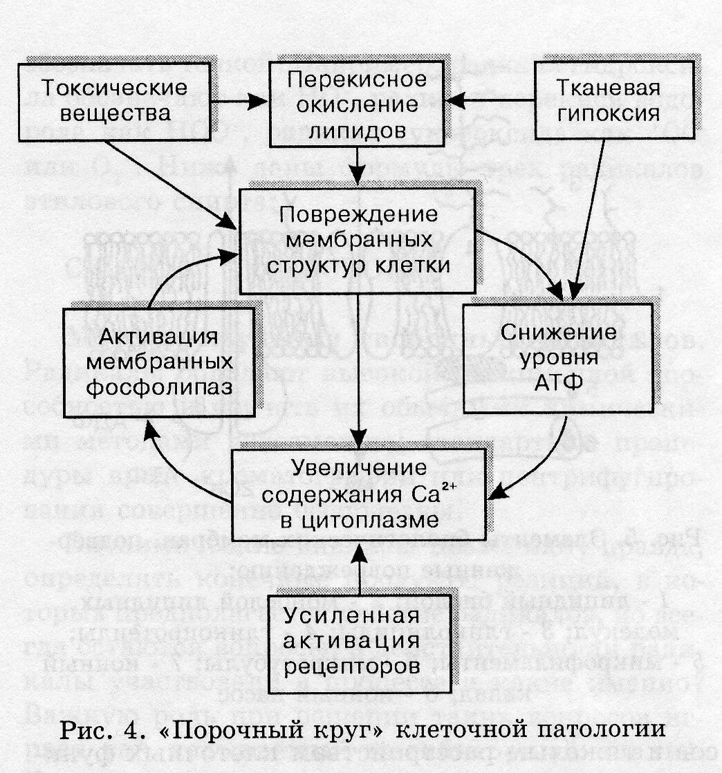 Общие реакции организма на повреждение патология. Местные и Общие реакции организма на повреждение. Общая реакция организма на повреждения стресс. Местная и общая реакция организма