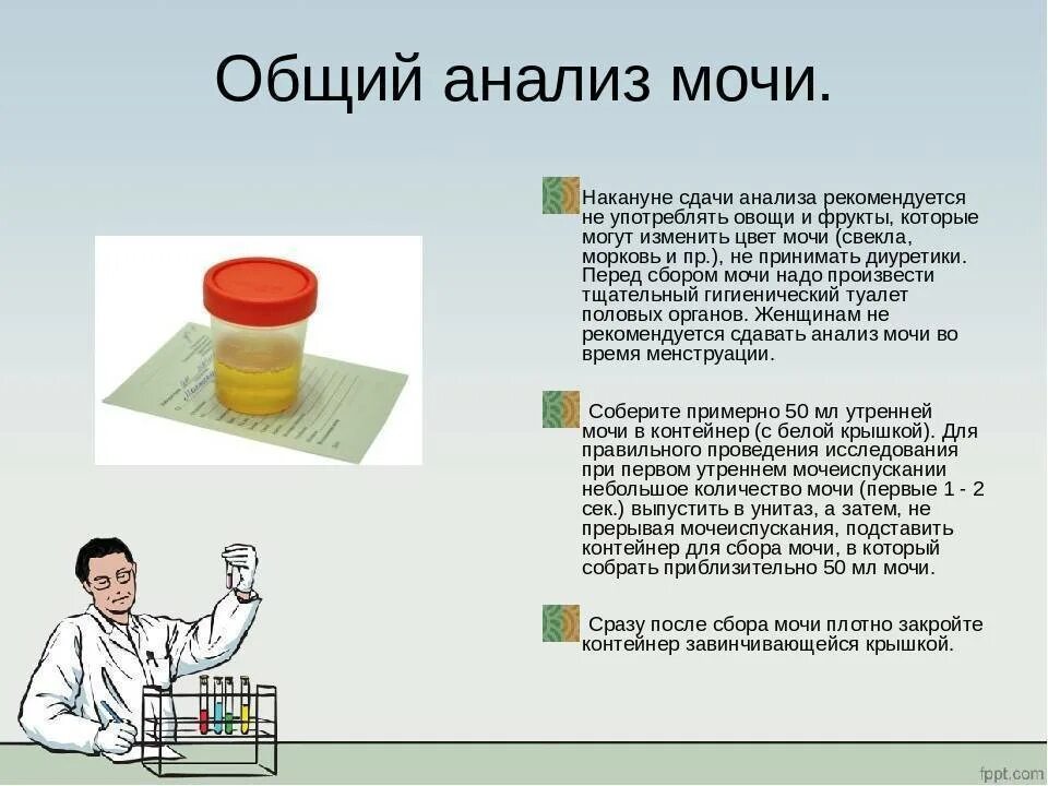 Как сдавать мочу на анализ мужчине. Сколько нужно мочи для общего анализа. Как правильно сдавать анализ мочи. Как сдается общий анализ мочи. Анализы кал моча.