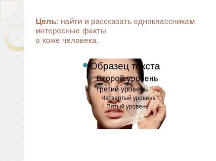 Факты о коже