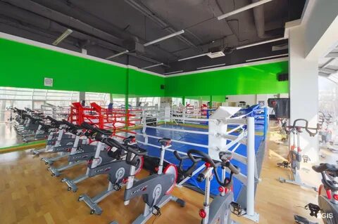 X fit воронеж