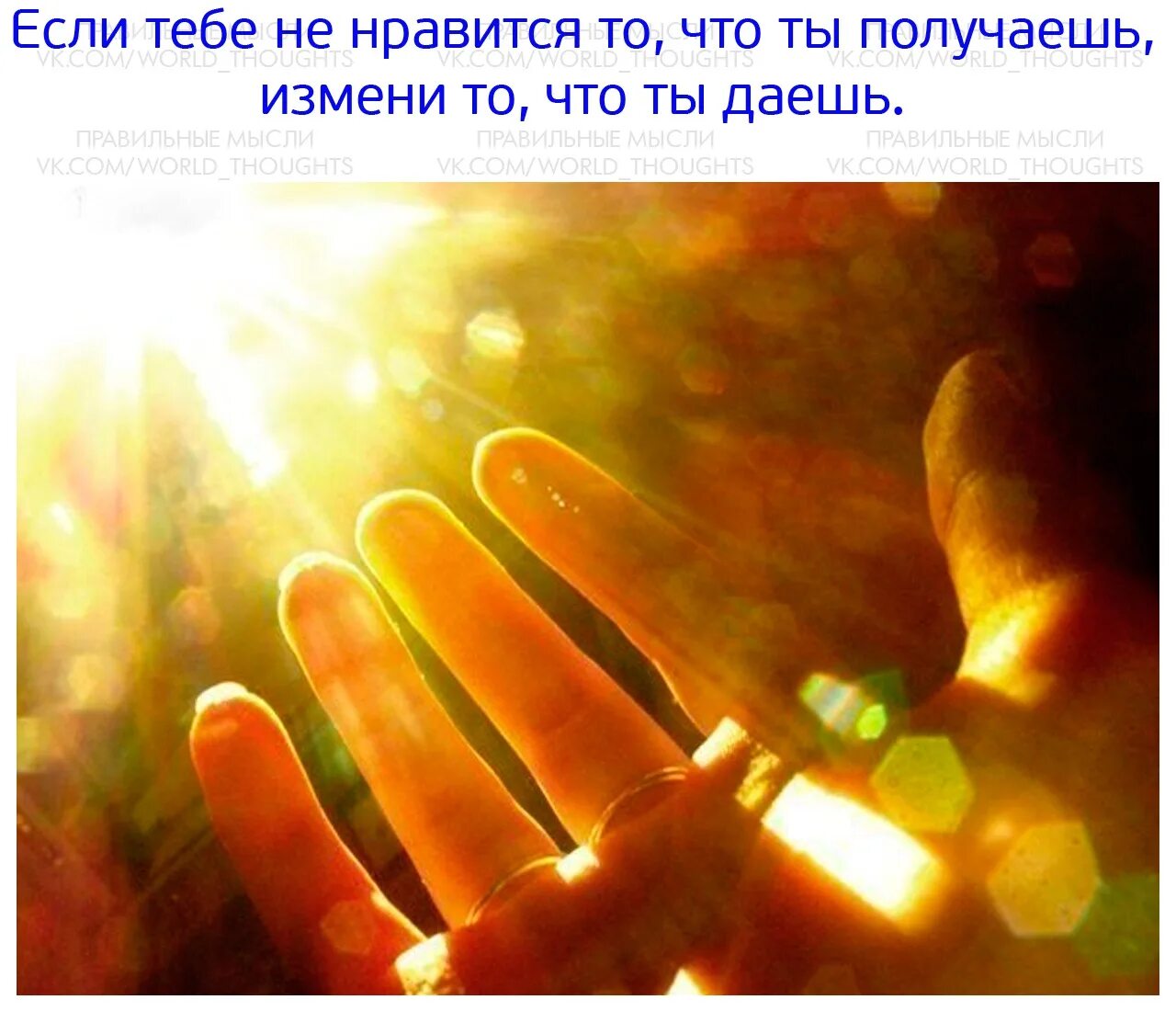 Исполнить твоё желание?. То что исполнит твое желание. С днем рожд золотая рыбка. Я исполню твое желание. Я исполняю.