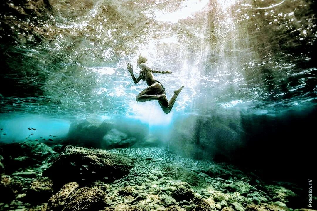 Underwater life. Океан под водой. Подводный пейзаж. Фон под водой. Морские глубины.