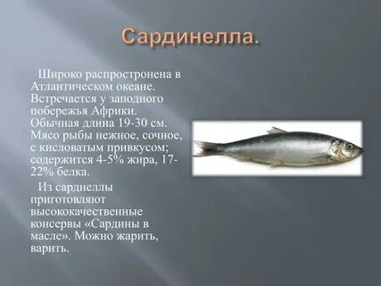 Характеристика мяса рыбы