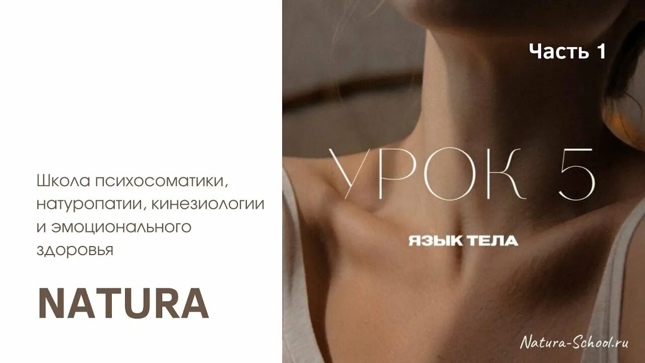 Язык тела психология. Язык тела. Школа языка тела. За столом язык тела. Школа языка тела.