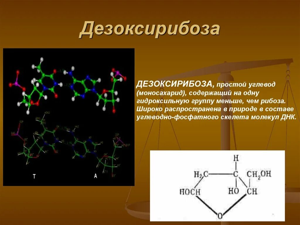 Дезоксирибоза аминокислота