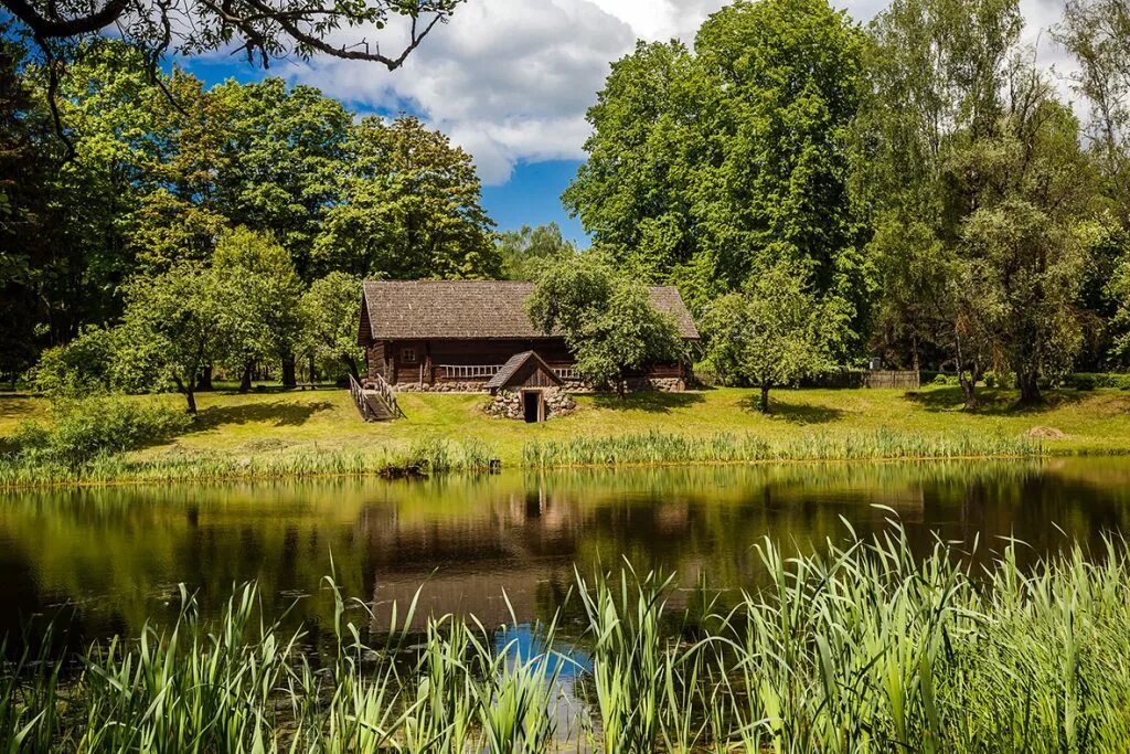 Восень у беларусі презентация. Минск вязынка. Вязынка. Деревня вязынка. Вязынка.