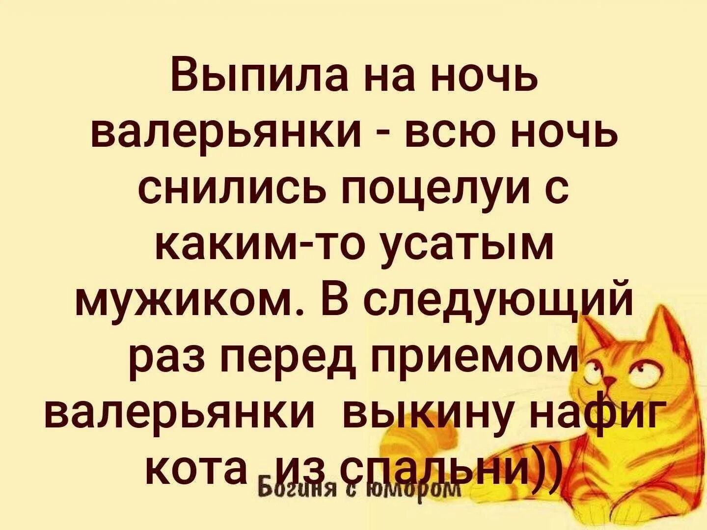 Валерьянка на ночь. Выпила на ночь валерьянки и всю ночь снились поцелуи. Шутки про валерьянку. Открытка кот и валерьянка. Смешные коты с валерьянкой.