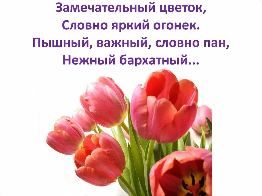 Текст песни аленький цветочек. Текст песни волшебный цветок. Классный час в мире прекрасных цветов. Словно цветы текст. Словно цветы текст.