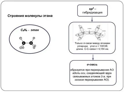 Этилен в отличие от этана имеет
