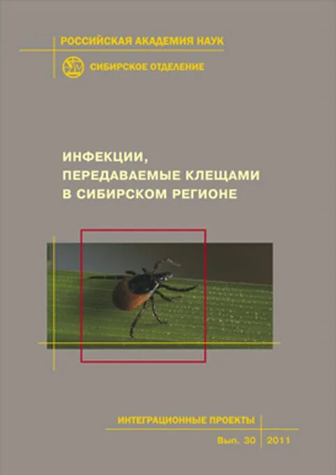 Заболевания передающиеся клещом. Инфекции передаваемые клещами. Болезни передающиеся клещами Сибирь.