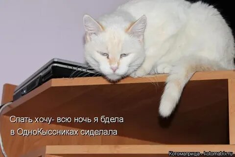 Сонен хотел