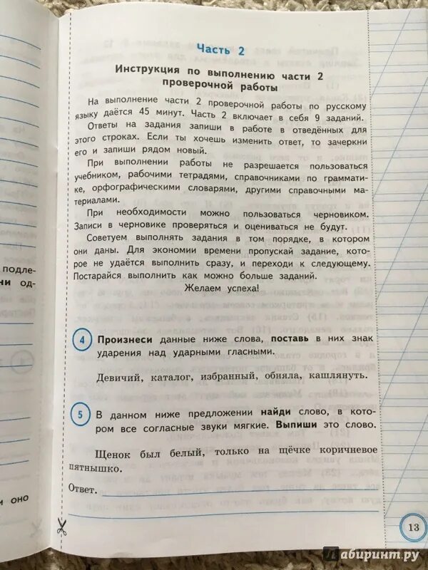 Выполнение проверочной работы по русскому языку. ВПР по русскому. Всероссийская проверочная работа Волкова. Русский язык Всероссийская проверочная работа. Русский язык 3 всероссийская проверочная работа