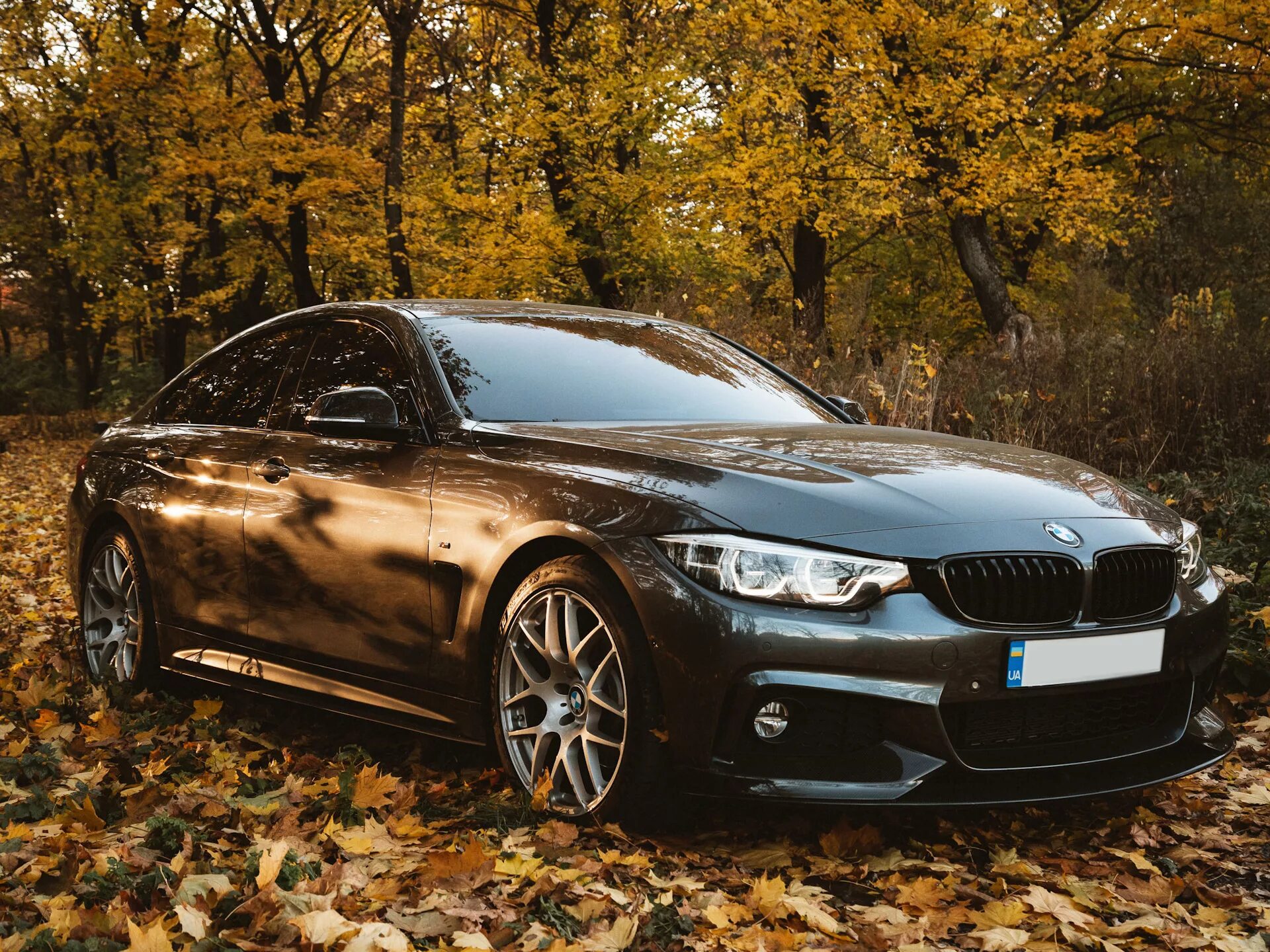 BMW 4 Coupe. BMW 4 Series Gran Coupe. BMW f36. BMW m4 Gran Coupe. Bmw 4 купить