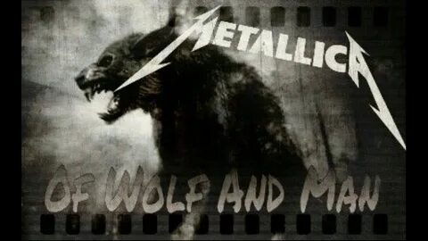Metallica wolf