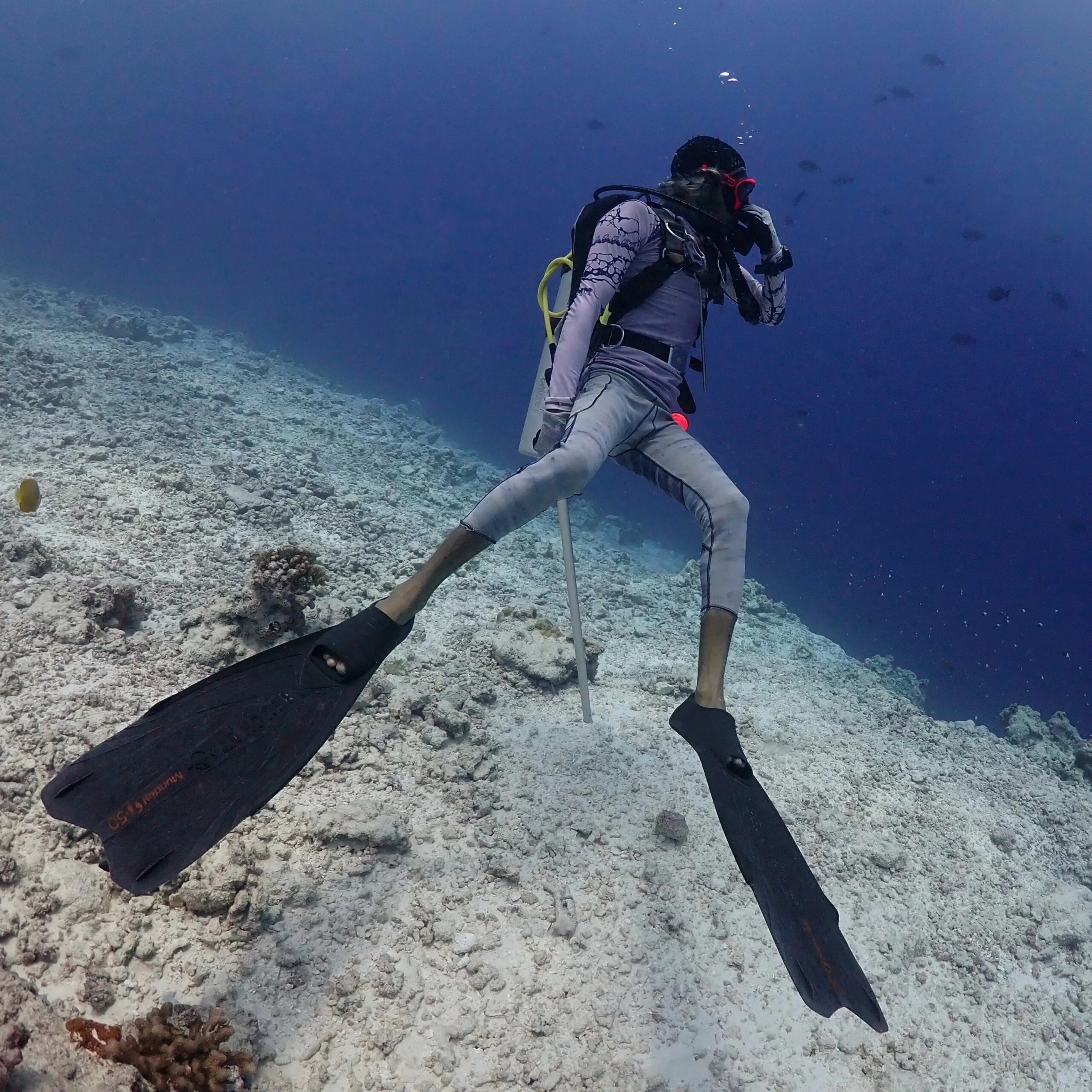Шарм-эль-шейх акваланг. Египет дайвер. Марсалам дайвинг. Шарм-эль-шейх акваланг. Остров косумель дайвинг.