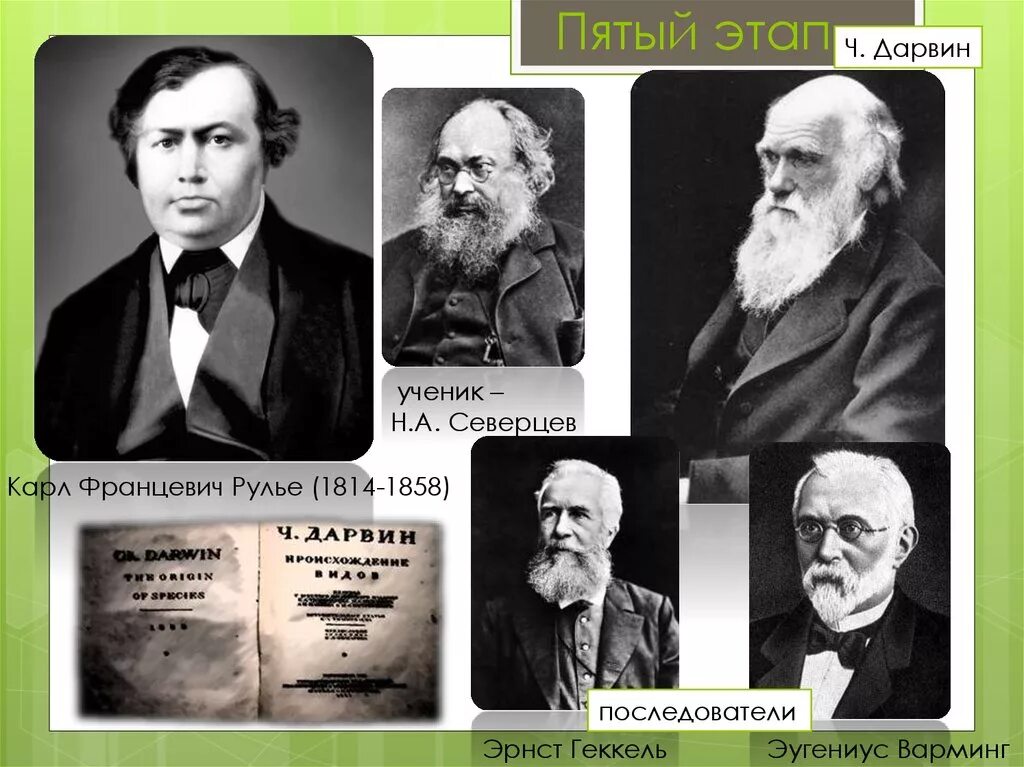чарльз дарвин дарвинизм. современная теория эволюции. сторонники дарвинизма. дарвиновский период развития эволюционного учения. сторонники дарвинизма.