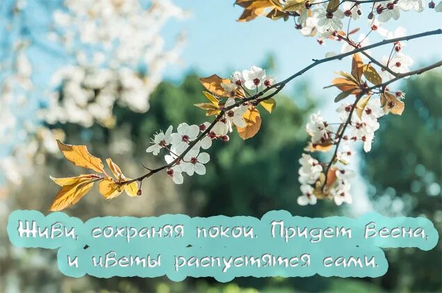 Статусы про весну и любовь. Цитаты про весну. Афоризмы про весну. Весенние цитаты.