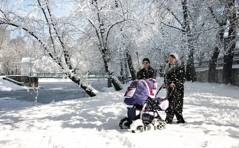 Декабрь 2026 года