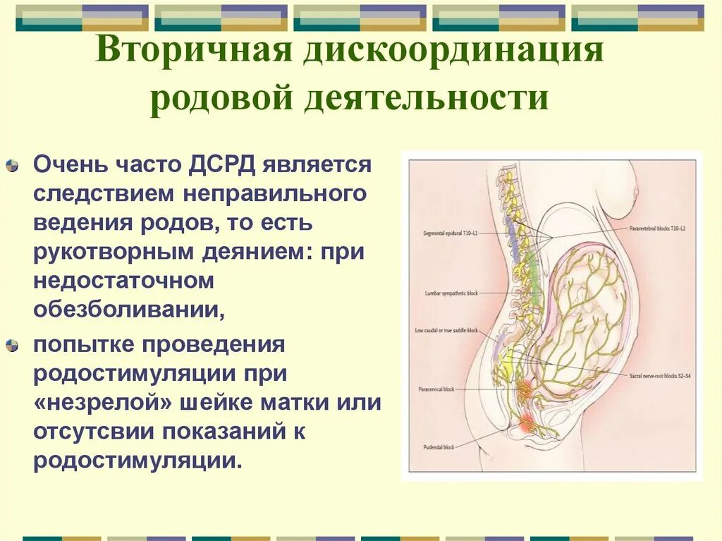 Дискоординированная родовая деятельность формы. Дискоординация родовой. Патогенез дискоординации родовой деятельности. Причины дискоординированной родовой деятельности. Дискоординация родовой.