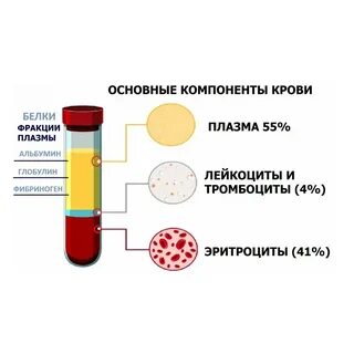 Плазма содержит белок