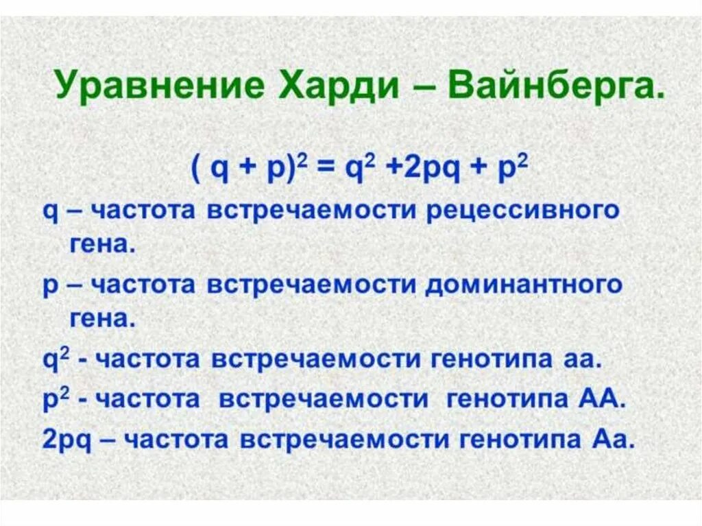 Задачи харди вайнберга егэ 2024. Закон и уравнение Харди-Вайнберга. Харди Вайнберга для 3 аллелей. Закон Харди Вайнберга по биологии. Уравнение Харди-Вайнберга задачи.