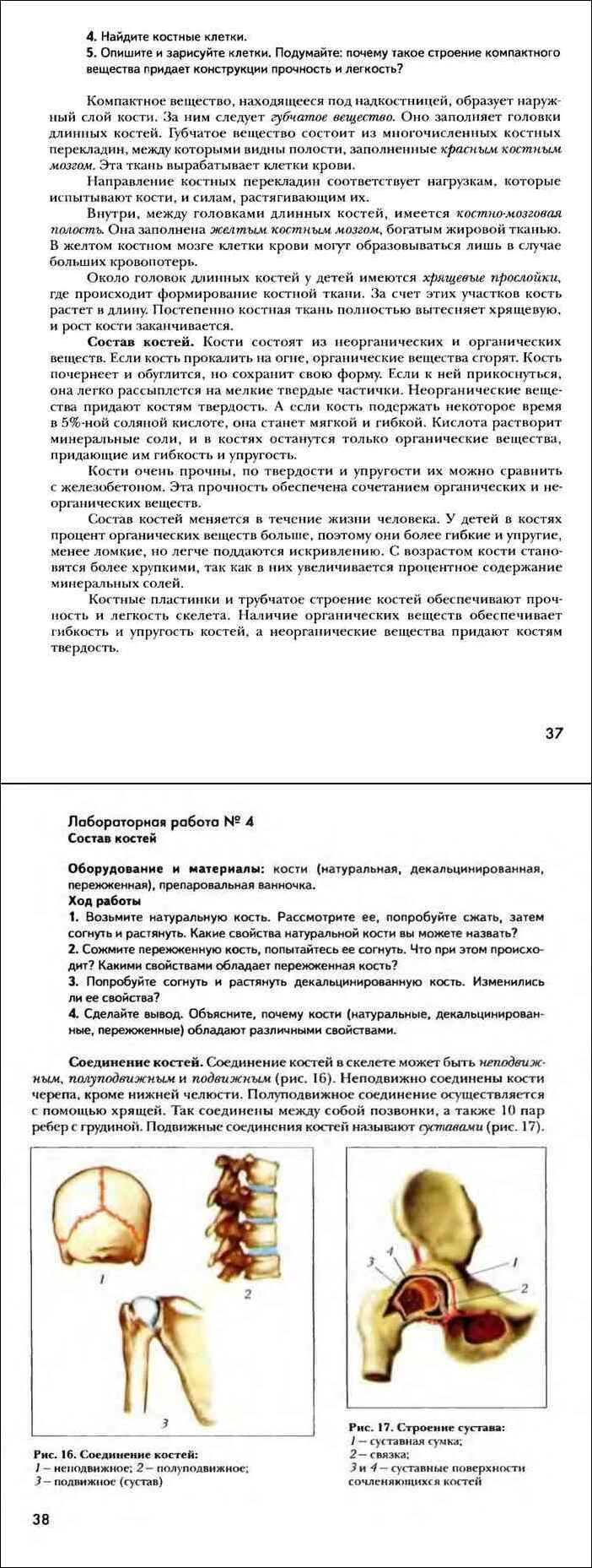 Вещества придающие твердость кости. Биология 8 класс учебник драгомилов. Биология 8 класс драгомилов лабораторная работа 8. Что придаёт костям твёрдость. Биология 8 класс учебник драгомилов читать.