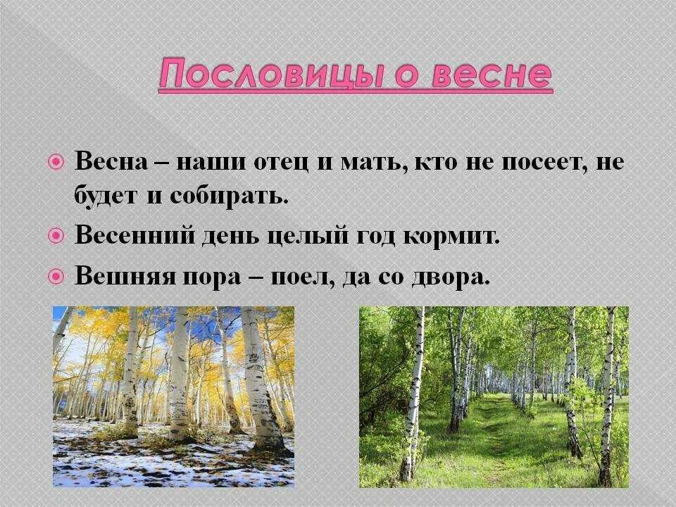 Запиши 1 из известных тебе весенних примет. Пословицы о весне. Весенние пословицы. Пословицы и поговорки о весне.