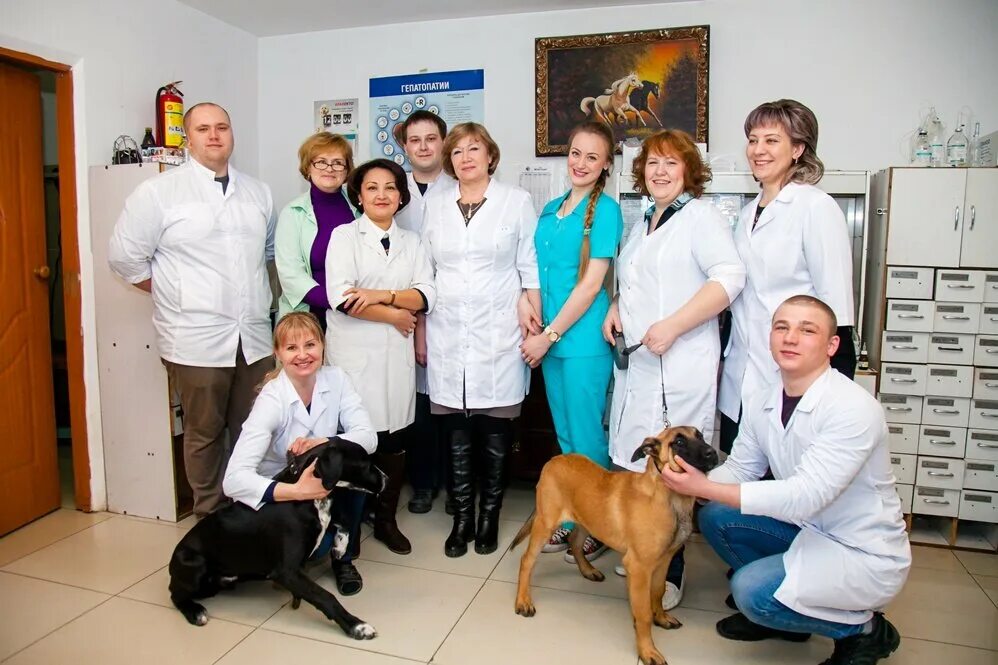 Группа ветеринар. Ветеринарная клиника Чехов ВЕТТАЙМ. Айболит ветеринарная клиника Москва. Доктор вет ветеринарная клиника. Ветеринарная клиника ЗООМЕДИК, Москва.