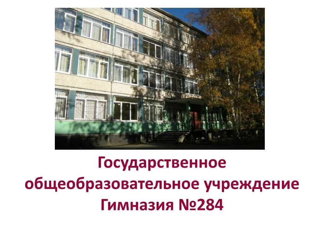 Гимназия образовательная организация. Гимназия 284 Санкт-Петербург. Гимназия 284 Кировского района. Гимназия номер 284 СПБ. ГБОУ гимназия 284 Кировского района Санкт-Петербурга.