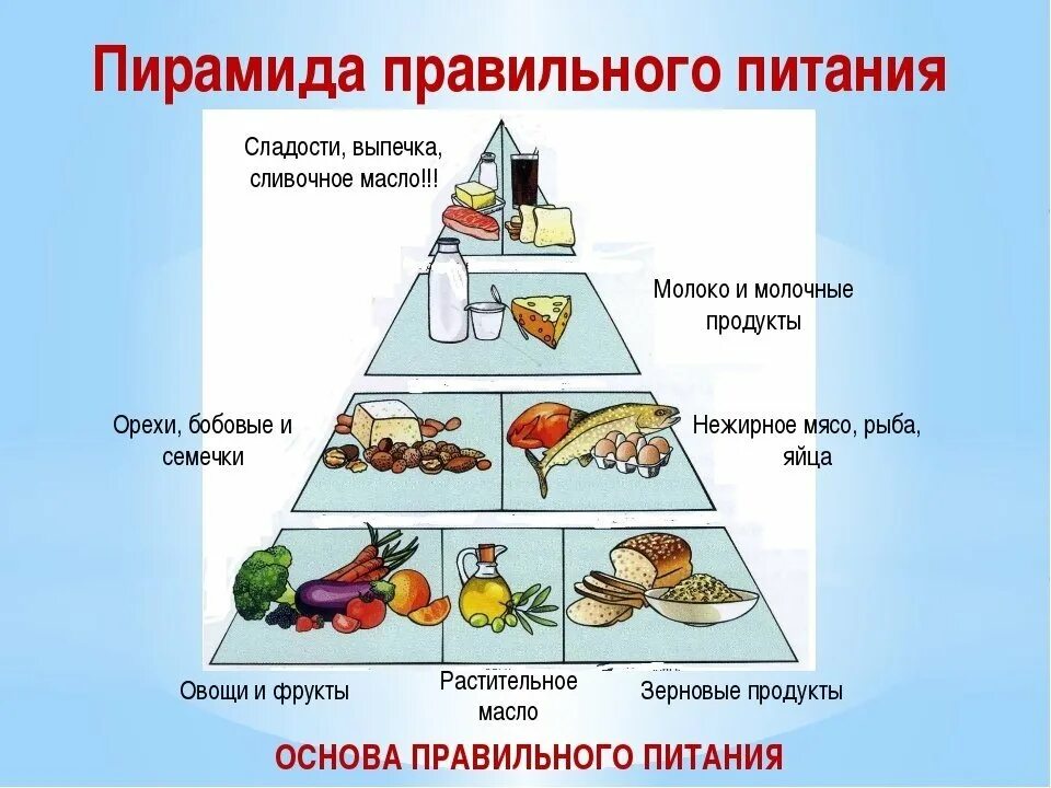 Какое питание должно быть при организованных. Рацион питания основные принципы. Основы правильного питания. Принципы здорового питания. Правильное рациональное питание.