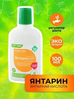 Янтарин как разводить