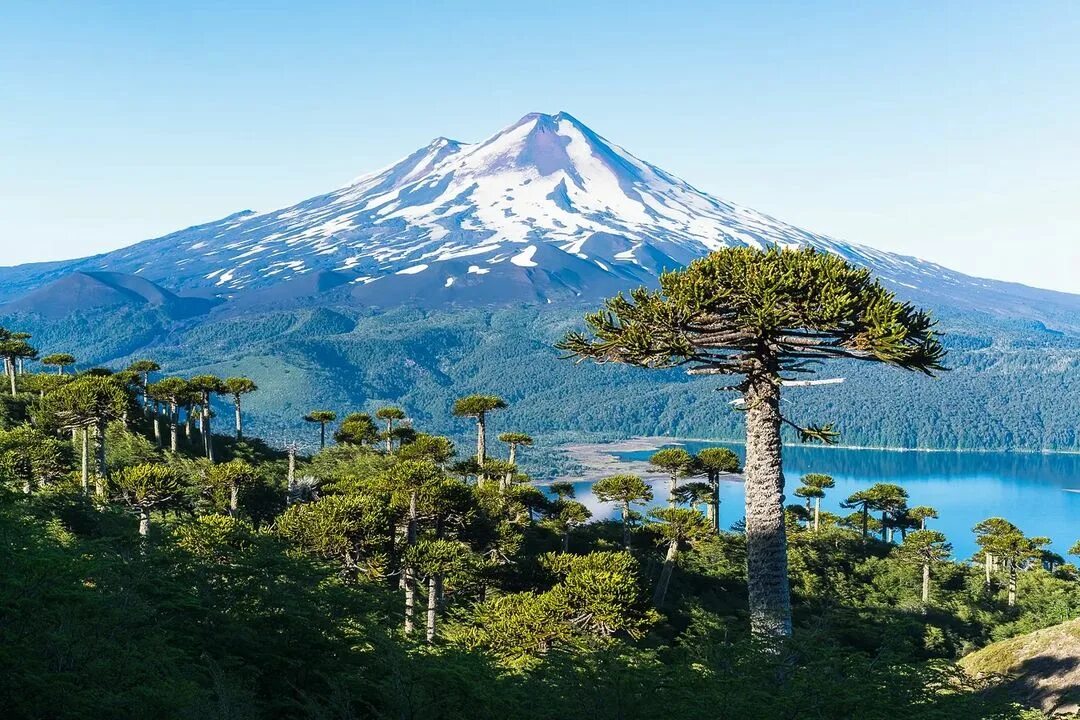 Cosas que se pueden hacer en un parque nacional