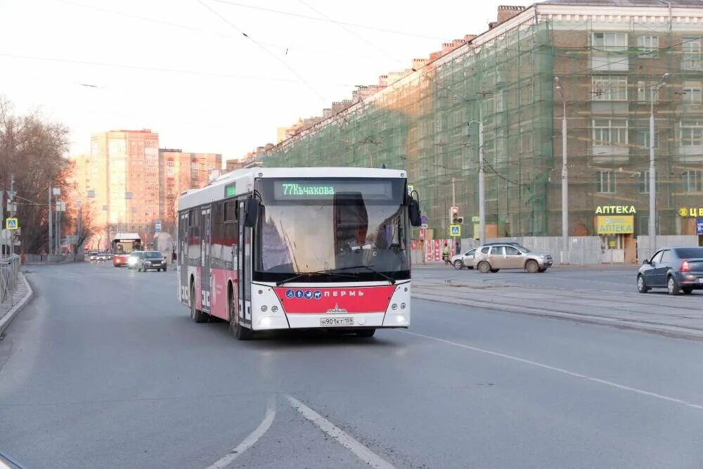 Максима Горького автобусы Пермь. Маршрут марафона Омск 2023. Маршрут 62 автобуса Пермь. Автобус Пермь фото. Маршрутная 15 пермь