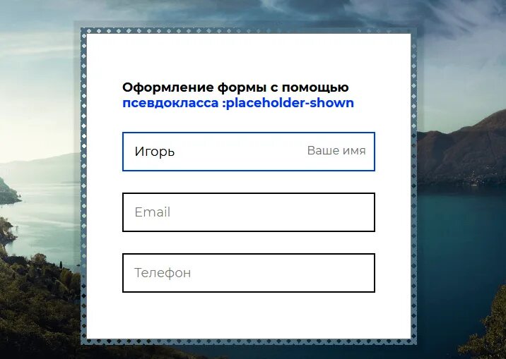 Получить элементы формы. Html псевдоклассы и псевдоэлементы. Плейсхолдер пример. Плейсхолдер.