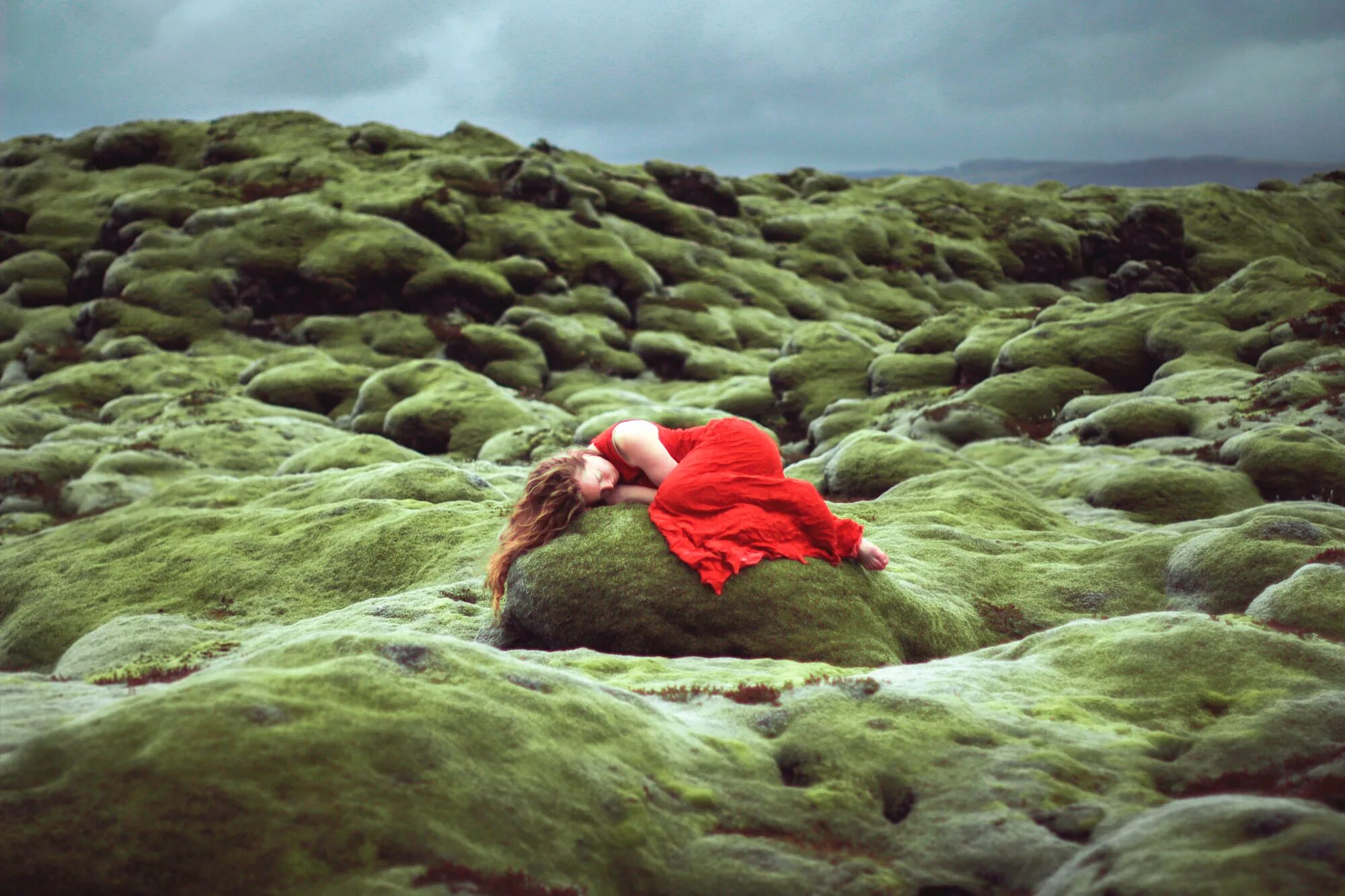 Элизабет Гэдд. Фотограф Lizzy Gadd. Elizabeth Gadd Photography. Уединение с природой. Любовь к природе это чувство