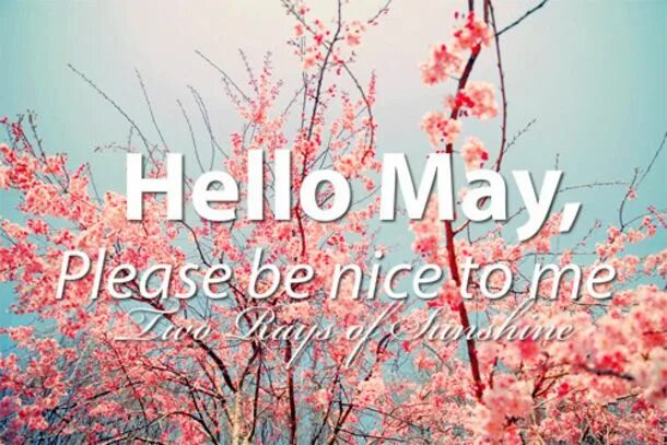 May please be good. Hello May. Hello May Эстетика. Hello May картинки красивые. Hello May надпись.