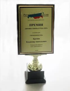 Профессионал года