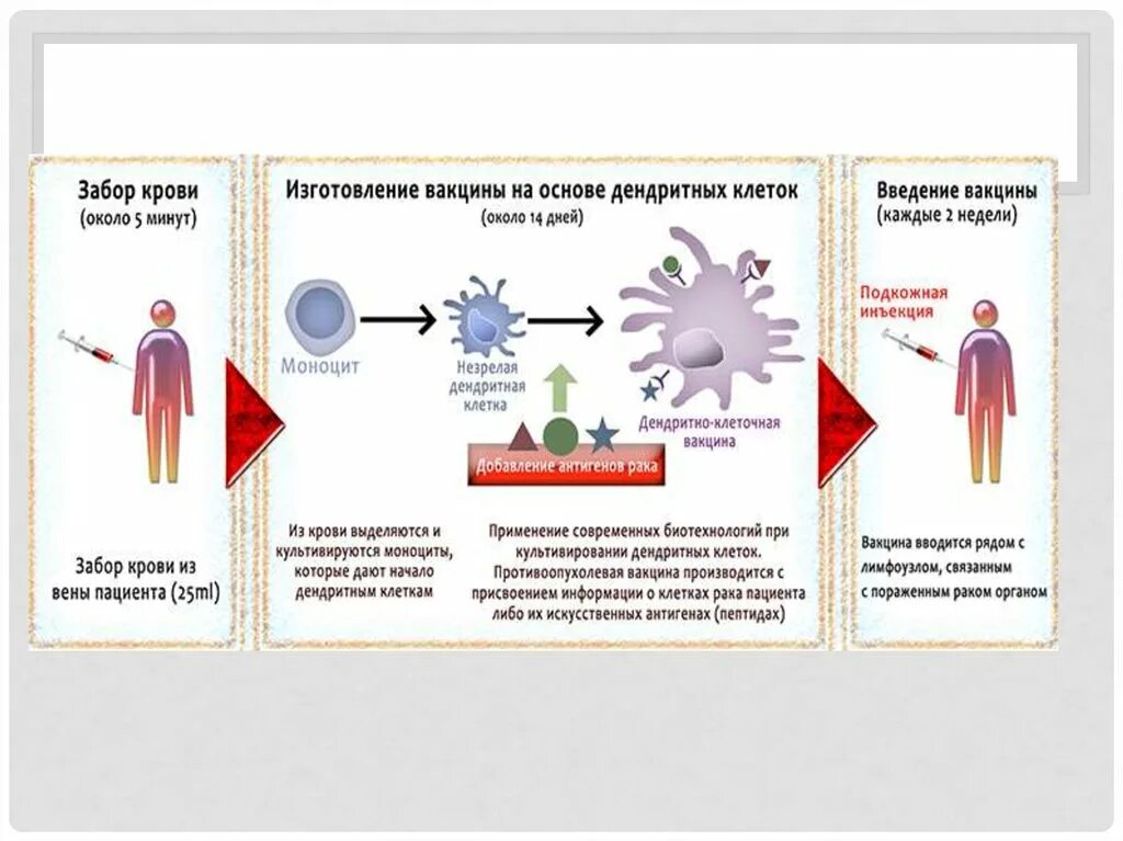 Влияние вакцин. Схема действия вакцины. Схема изготовления вакцины. Принцип действия прививки. Механизм действия вакцин на организм.