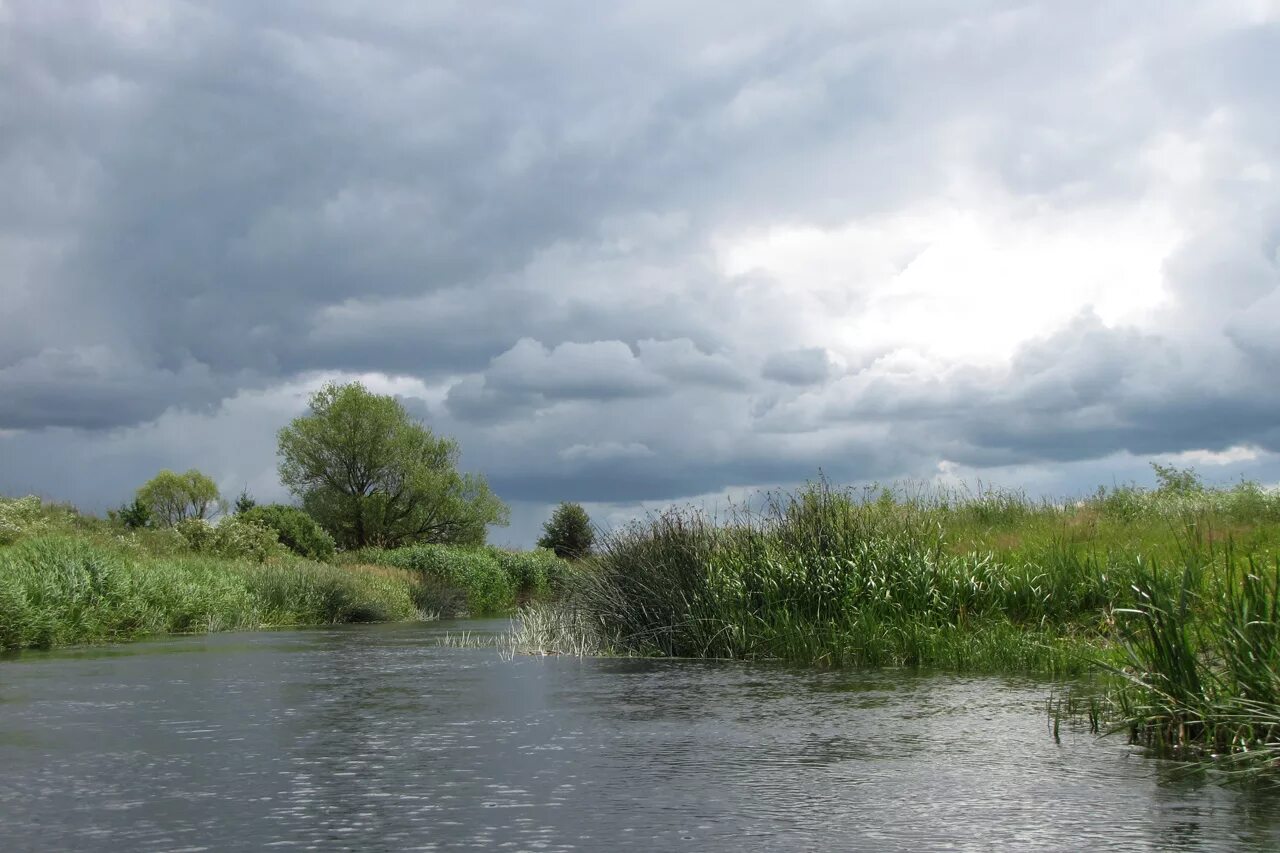 река сухменка. река большой караман. река большой пит красноярский край. село пушкари тамбовская область. река битюг в воронеже.