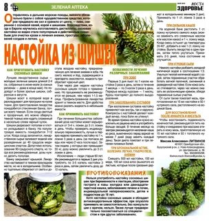 Настойка зеленых шишек сосны