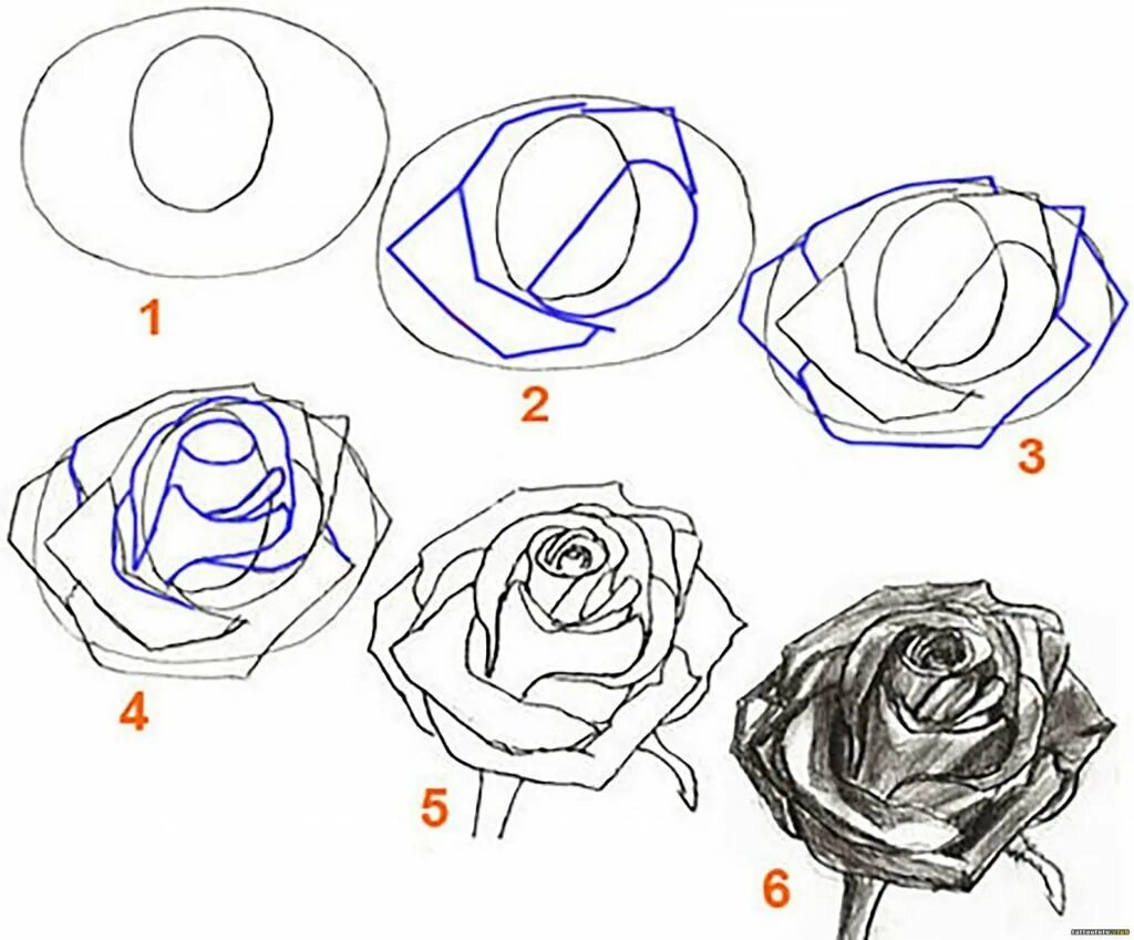 Картинки поэтапно. Роза карандашом рисунок пошагово. Роза пошагово для начинающих. Поэтапное рисование розы карандашом. Рисуем розу карандашом поэтапно.