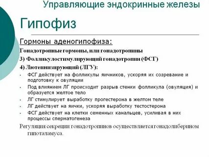 Гипофиз какой анализ сдать