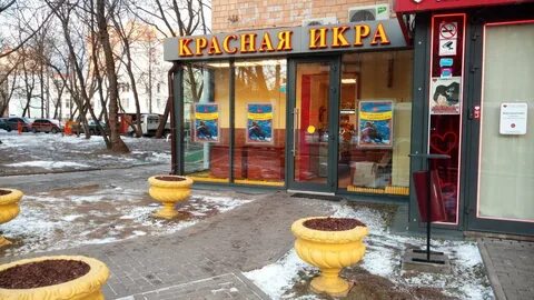 Магазин рыбы красная икра в москве
